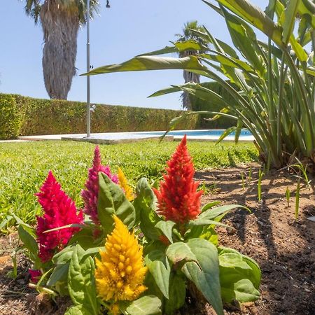 Villa Lujo Olivanova Golf Met المظهر الخارجي الصورة